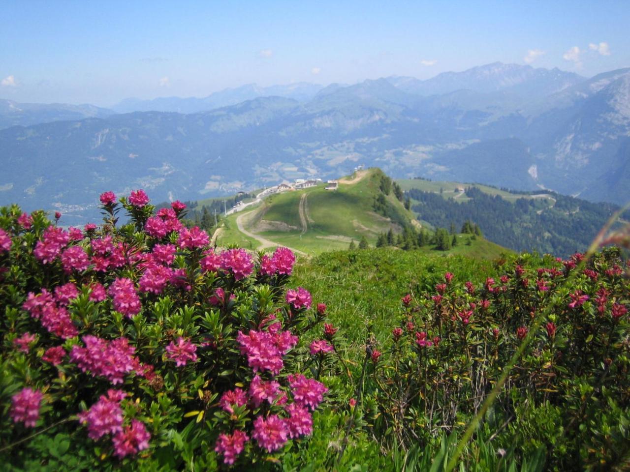 Samoens Apartment 2 Bedroom 50M2 Modern And Well Equipt Luaran gambar